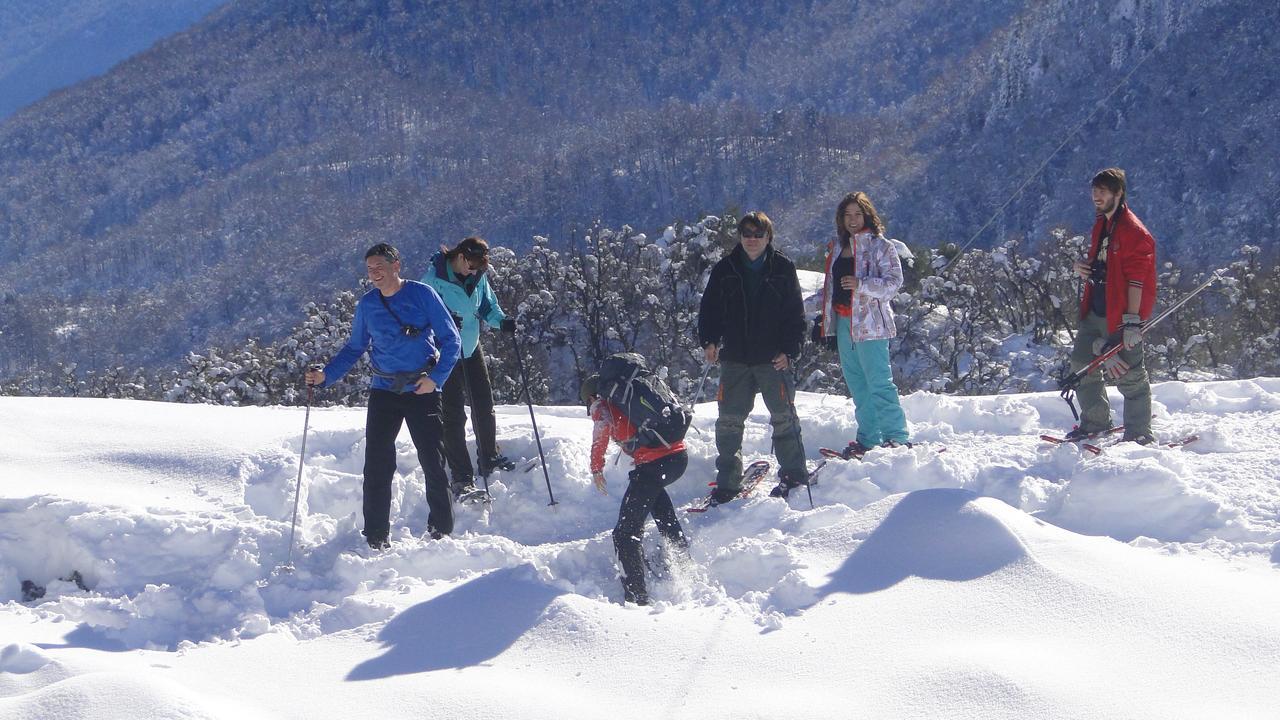 San Martín de los Andes Departamento En Apart Pequena Comarca 아파트 외부 사진